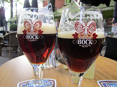 Hooghe Bock